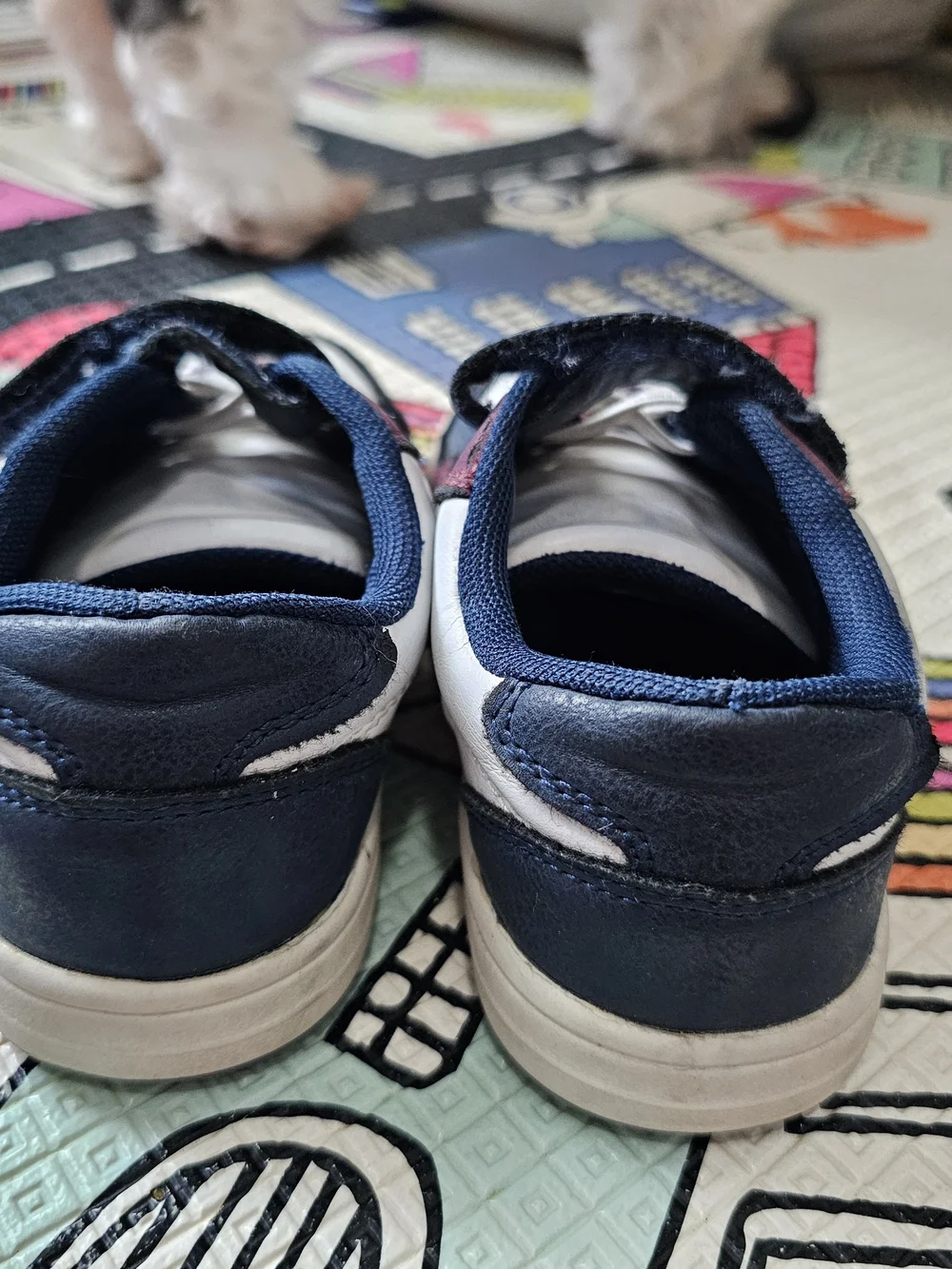 Kids Navy, White & Burgundy Velcro Sneakers
